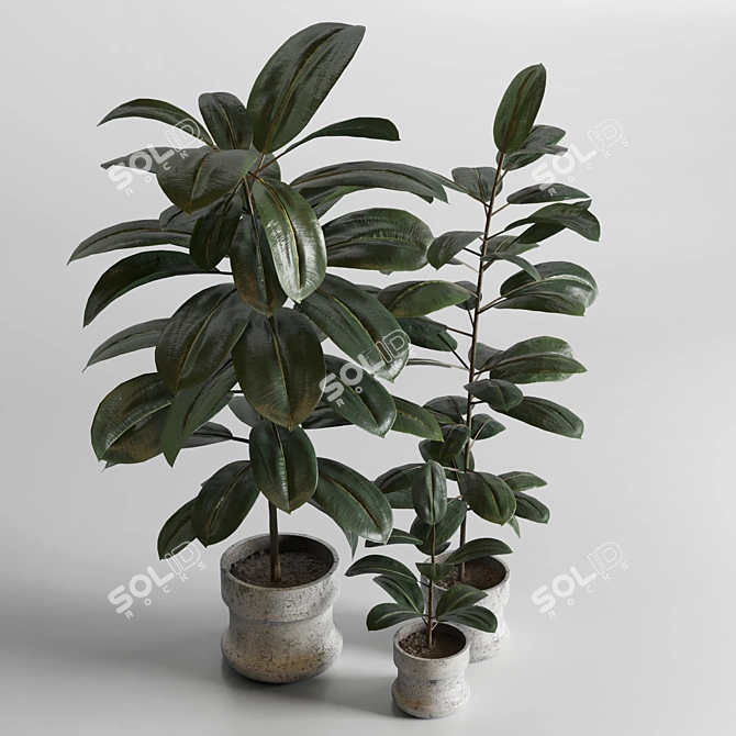 Elegant Indoor Plant Decor 3D model image 6