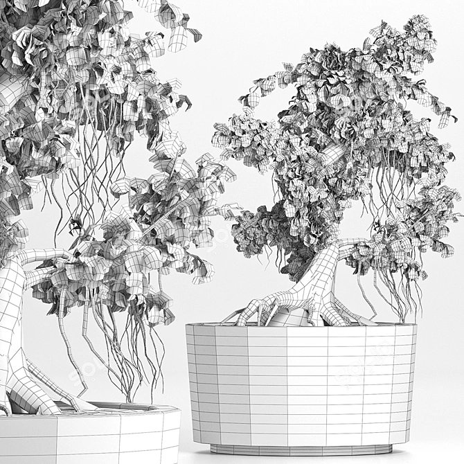 Sageretia Theezans Mini Bonsai - Exquisite Houseplant 3D model image 5