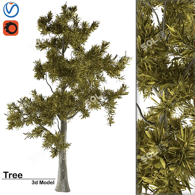 High-Quality 3D Tree Collection 3D model image 1