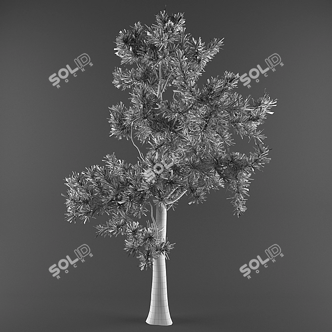 High-Quality 3D Tree Collection 3D model image 3