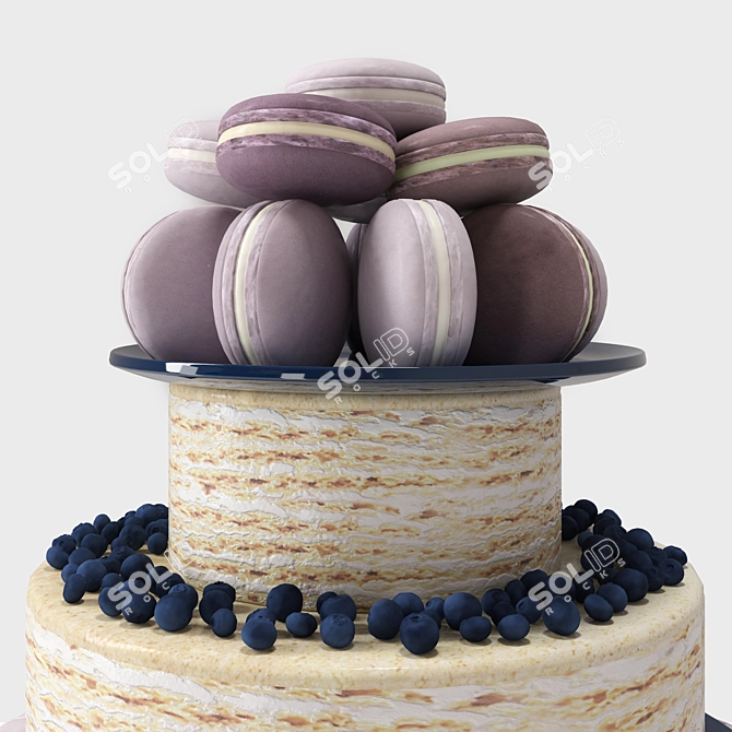 Delicious Macaroon Cake with Blueberry 3D model image 2