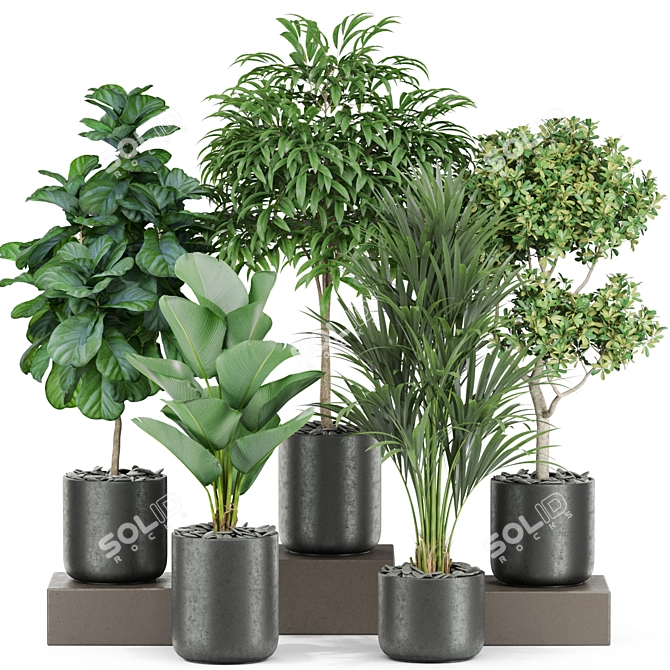 Lush Greenery Set 440 3D model image 1