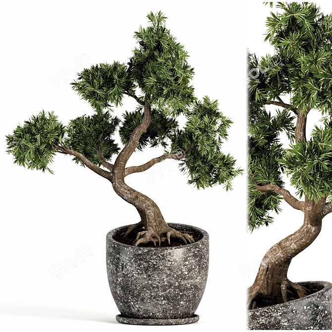 Zen Bonsai Tree Sculpture 3D model image 1