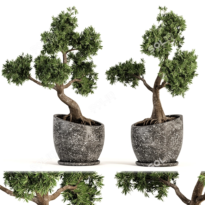 Zen Bonsai Tree Sculpture 3D model image 2