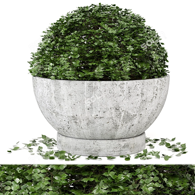 Rusty Concrete Pot Outdoor Plant Set 3D model image 1