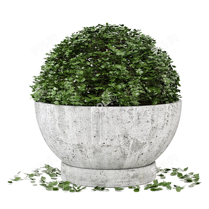 Rusty Concrete Pot Outdoor Plant Set 3D model image 2