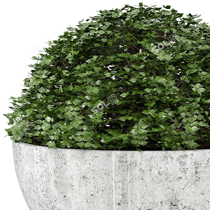 Rusty Concrete Pot Outdoor Plant Set 3D model image 3