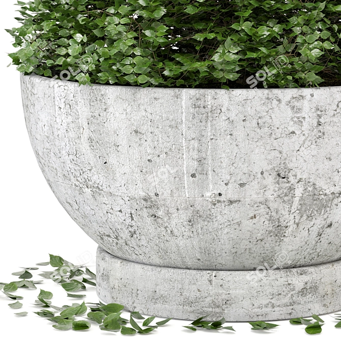 Rusty Concrete Pot Outdoor Plant Set 3D model image 4