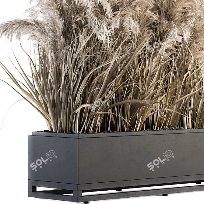 EcoBox: Indoor Plant Set 3D model image 3