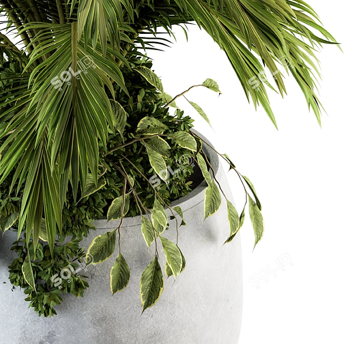 Tropical Oasis: Palm Bush Set 3D model image 2