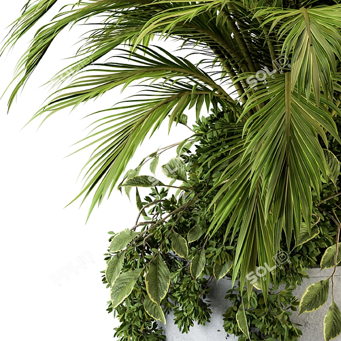 Tropical Oasis: Palm Bush Set 3D model image 3