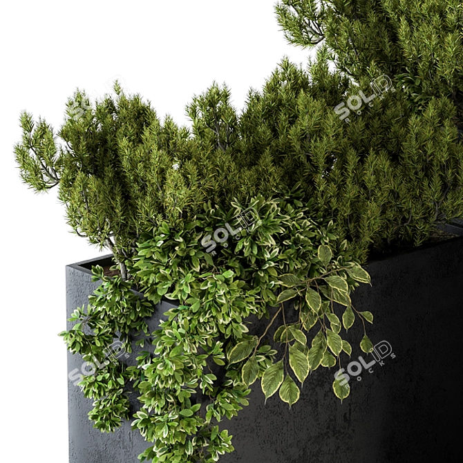 Lush Greenery: Outdoor Plants Set 3D model image 2