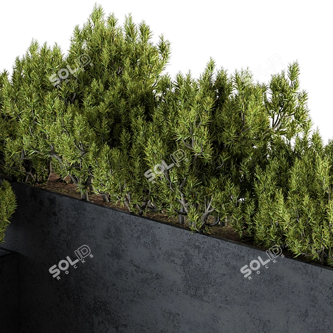 Lush Greenery: Outdoor Plants Set 3D model image 3