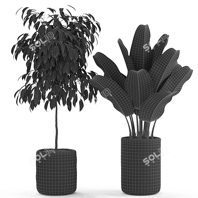 Botanical Bliss: 441 Diverse Plants 3D model image 5