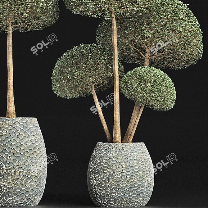 Exotic Houseplants Collection - Vray Compatible 3D model image 2