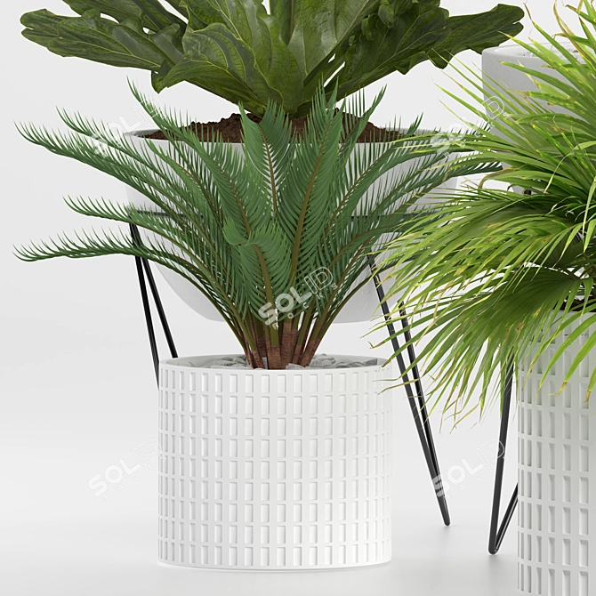 Green Oasis Plant Collection 3D model image 9