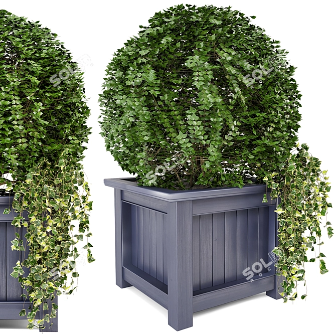 Outdoor Greenery in Wooden Planters 3D model image 2