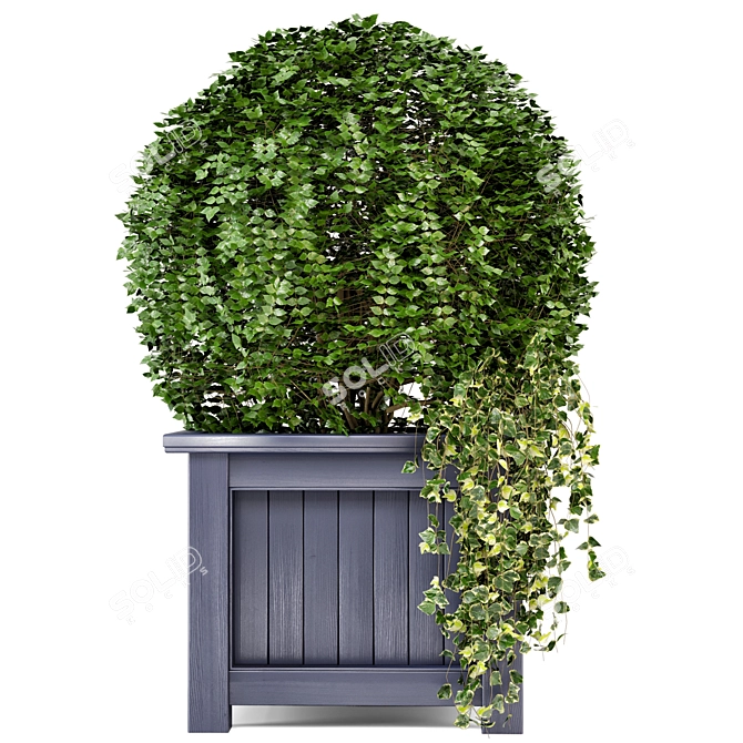 Outdoor Greenery in Wooden Planters 3D model image 3