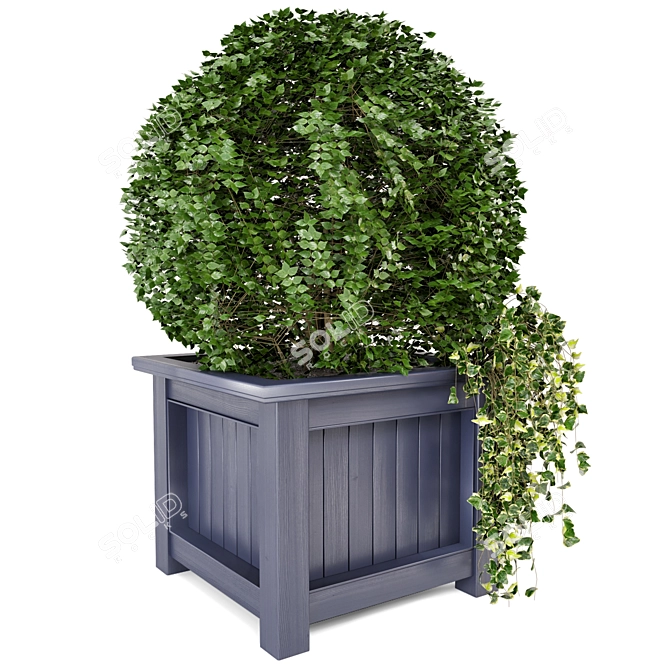 Outdoor Greenery in Wooden Planters 3D model image 4