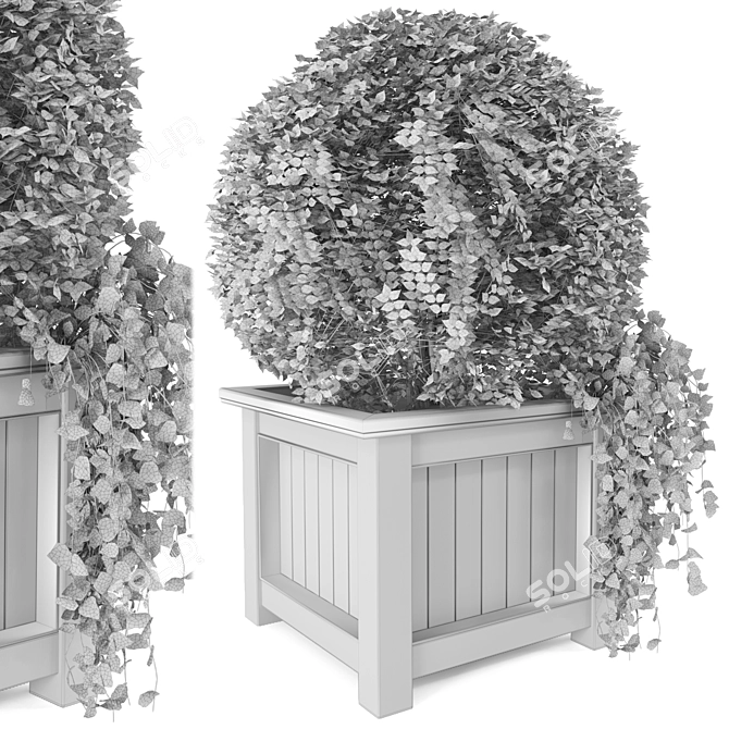 Outdoor Greenery in Wooden Planters 3D model image 5