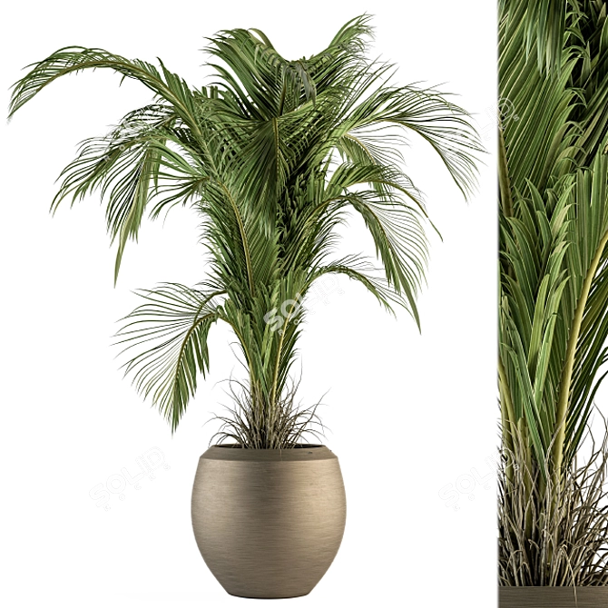 Tropical Bliss: Indoor Plant Set 3D model image 1