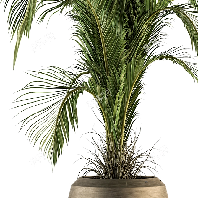 Tropical Bliss: Indoor Plant Set 3D model image 2