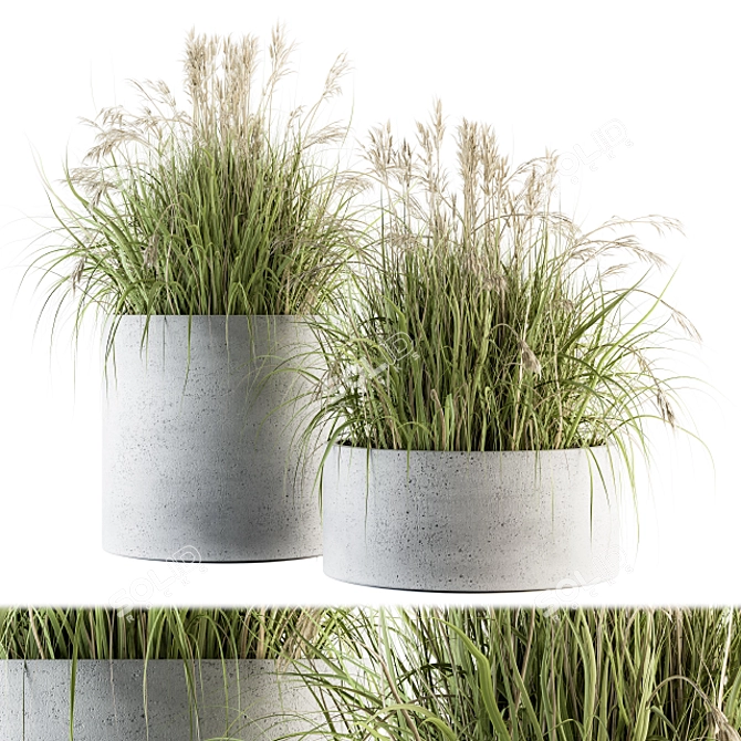 Indian Grass Indoor Plant Set 3D model image 1