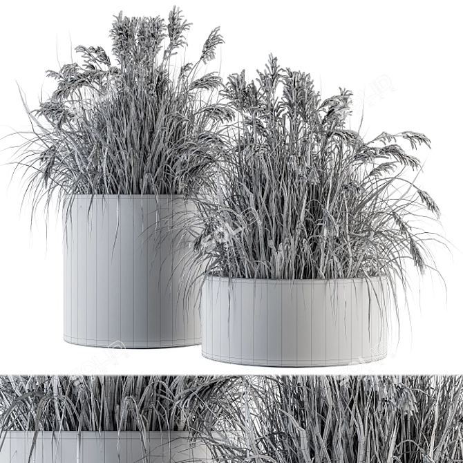 Indian Grass Indoor Plant Set 3D model image 4