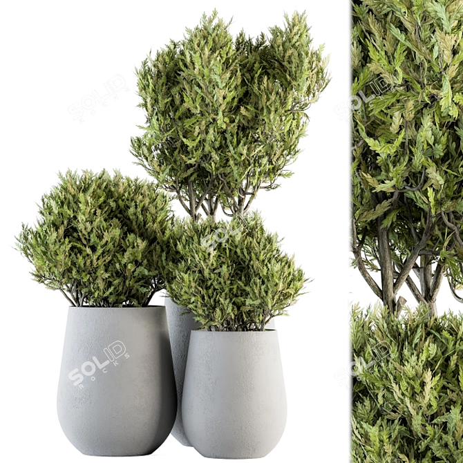 Norfolk Pine Outdoor Set 3D model image 1