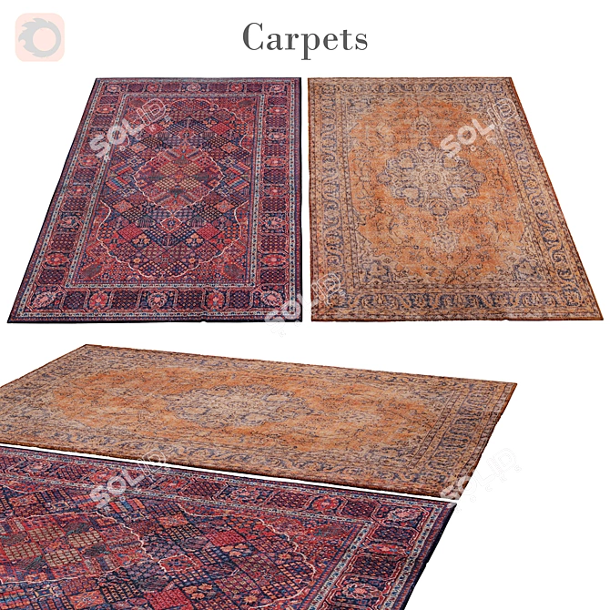 Luxury Poly Blend Rug 104 3D model image 1