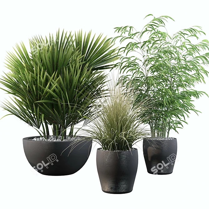 Luxury Plants Collection: 080 3D model image 1