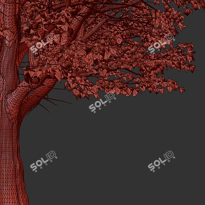 Silver Linden Tree Set (2 Trees) 3D model image 7