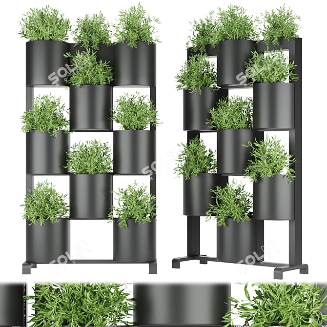 Premium Plant Collection Vol. 68 3D model image 1