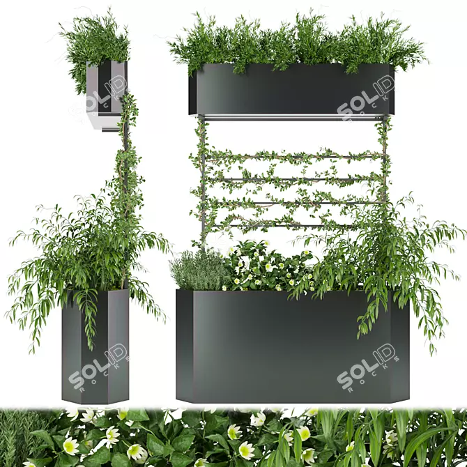 Premium Plant Collection Vol. 52 3D model image 1