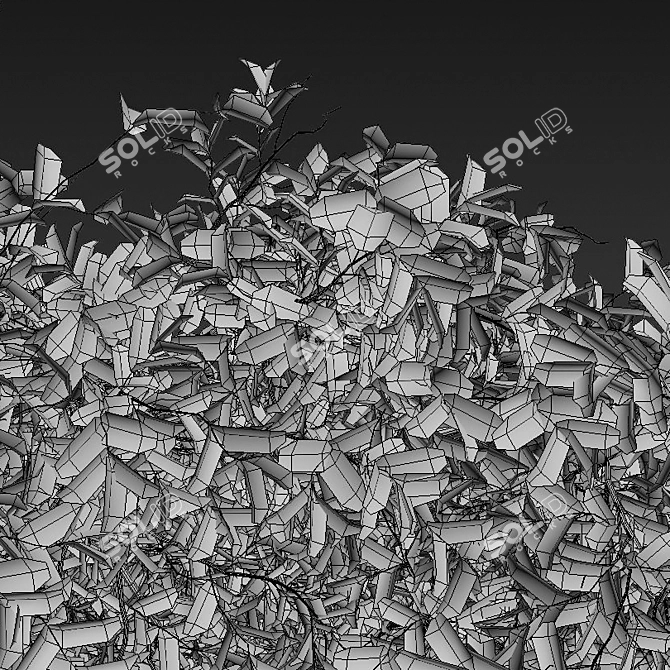  Evergreen Hanging Plant: Dry & Lush Leaves 3D model image 4