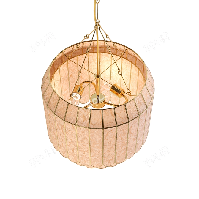 Capiz and Brass Faceted Pendant 3D model image 2