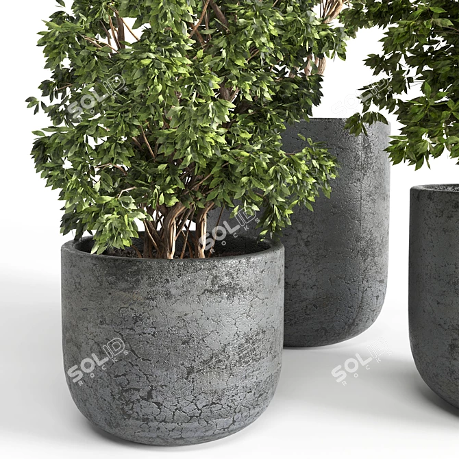 3D Outdoor Plant 06: Vray & Corona Compatible 3D model image 3