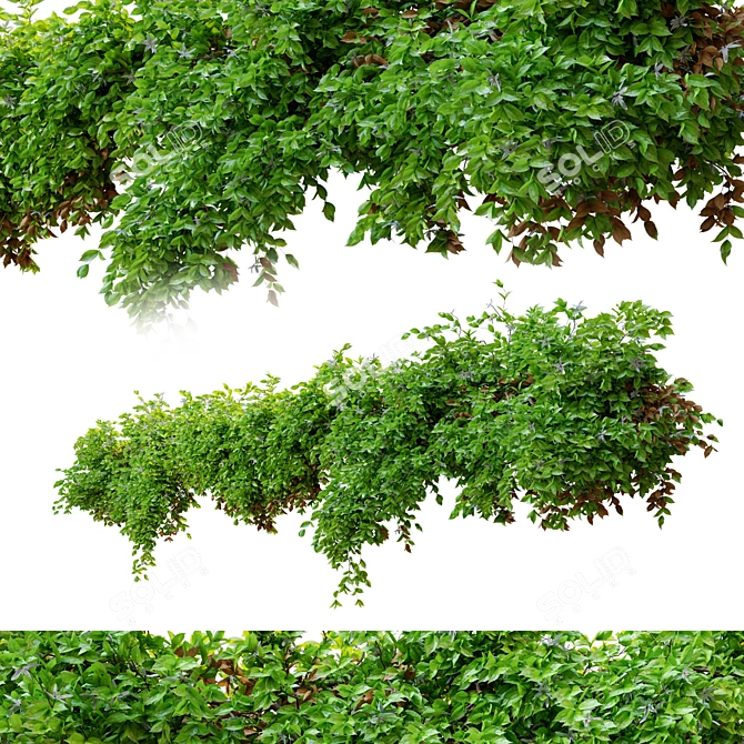 2m Hanging Plant with Detachable Parts 3D model image 2