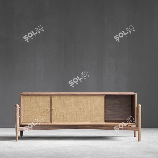 Solid Wood Sideboard TV Stand 3D model image 4