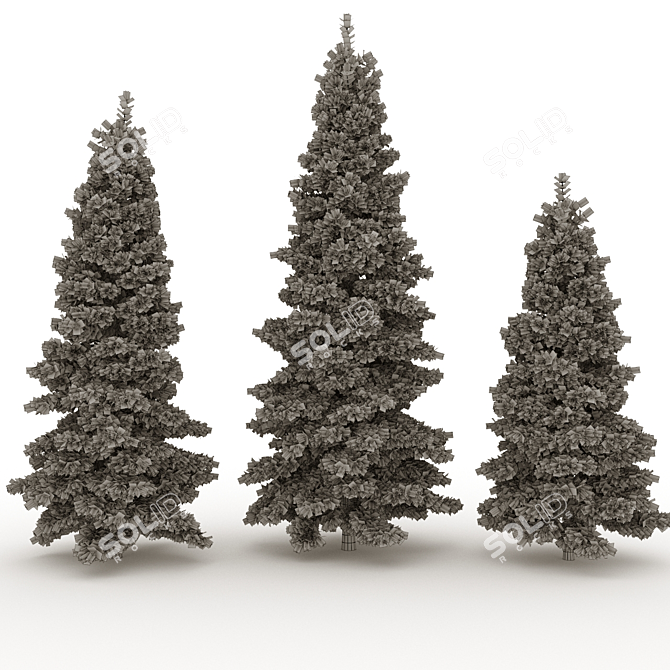 Evergreen Spruce Tree - 3D Model 3D model image 3