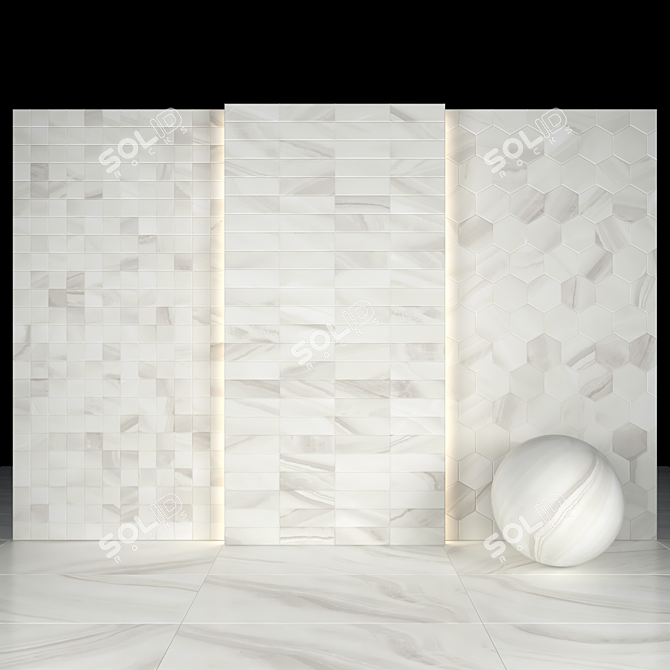 Elegant Morena Gray Marble Slabs 3D model image 3