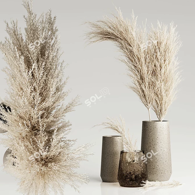 Dried Pampas in Elegant Vases 3D model image 1