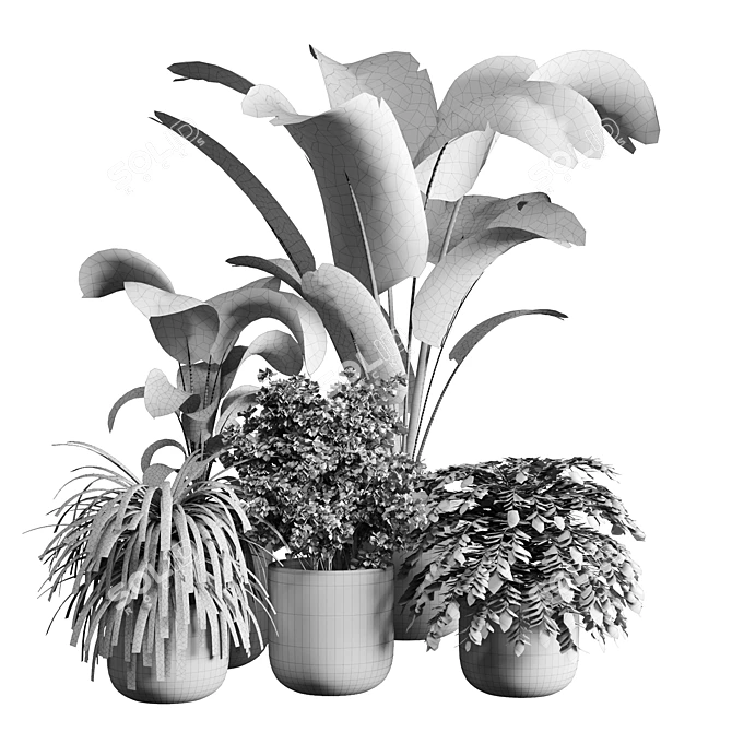 Natural Greenery: Indoor Plant 06 3D model image 4