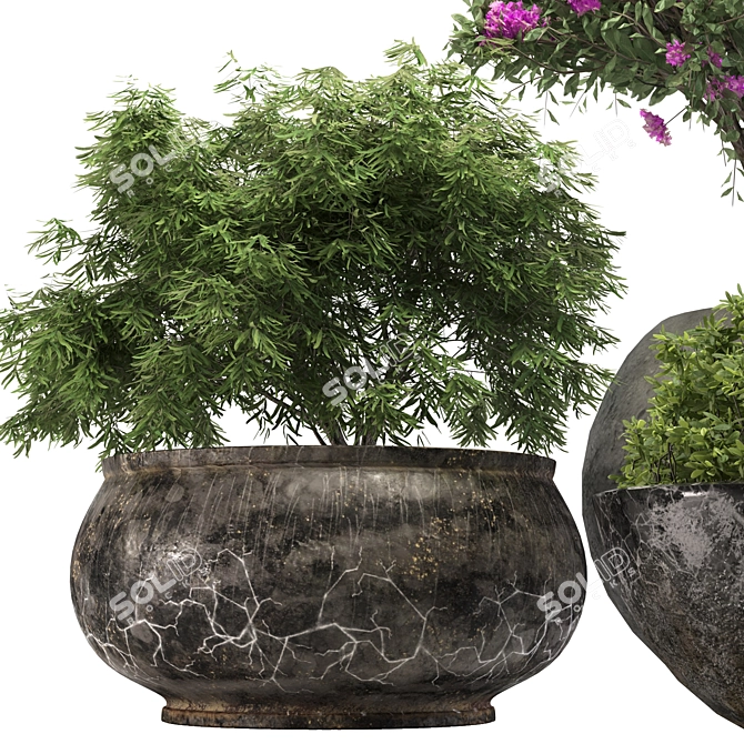 Polygon Outdoor Plant: 2K Textures 3D model image 2