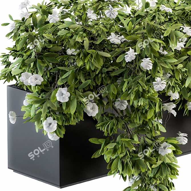 Ivy White Outdoor Plants - Set 149 3D model image 2
