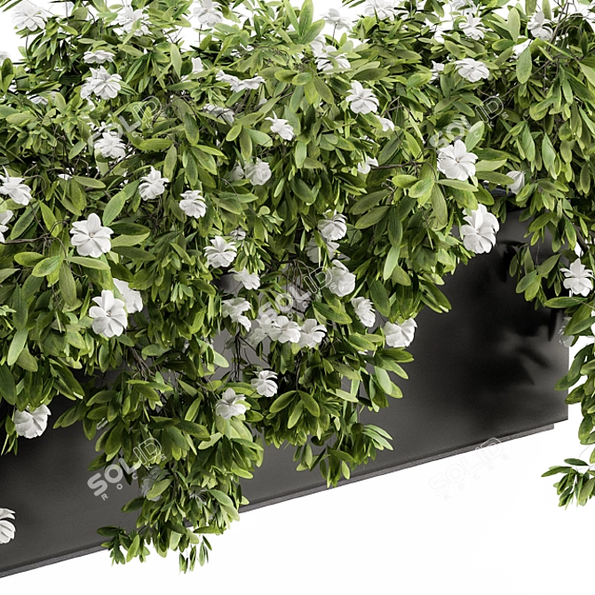 Ivy White Outdoor Plants - Set 149 3D model image 3