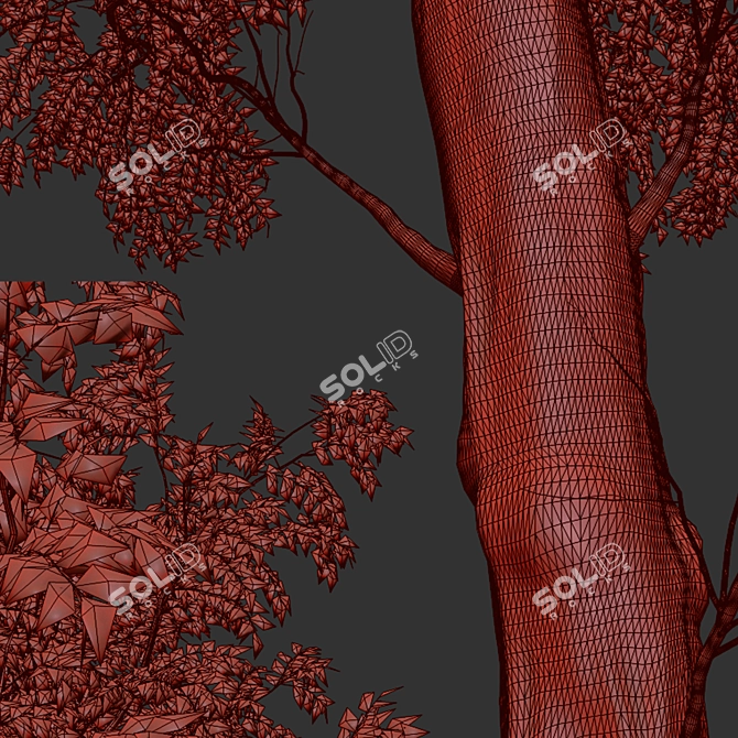 Arizona Ash Trees: Lush and Lifelike Pair! 3D model image 5