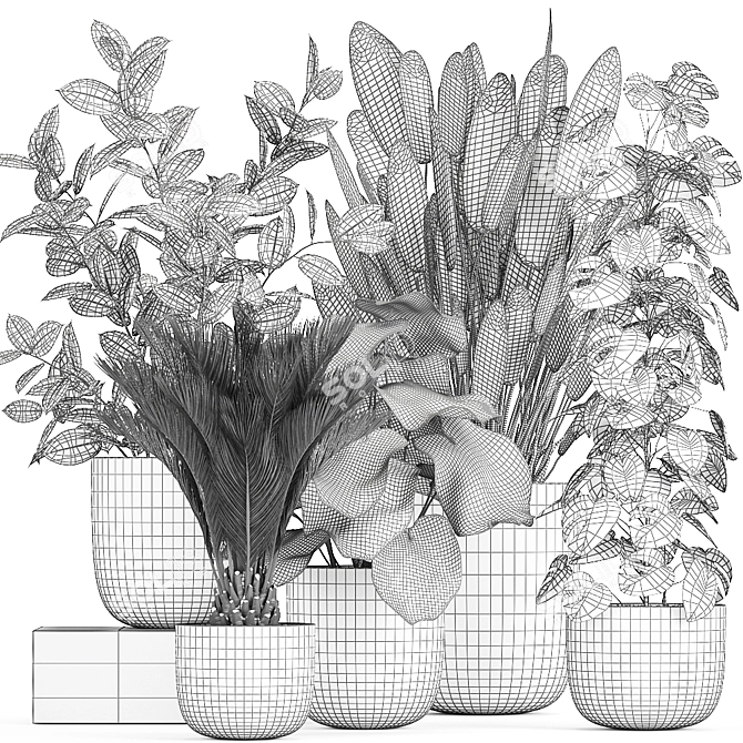 Exotic Plant Collection: Indoor & Outdoor Varieties 3D model image 5