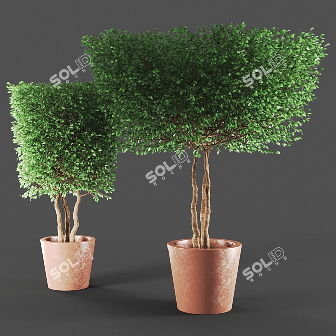  Tall and Elegant Plant Sculptures 3D model image 2