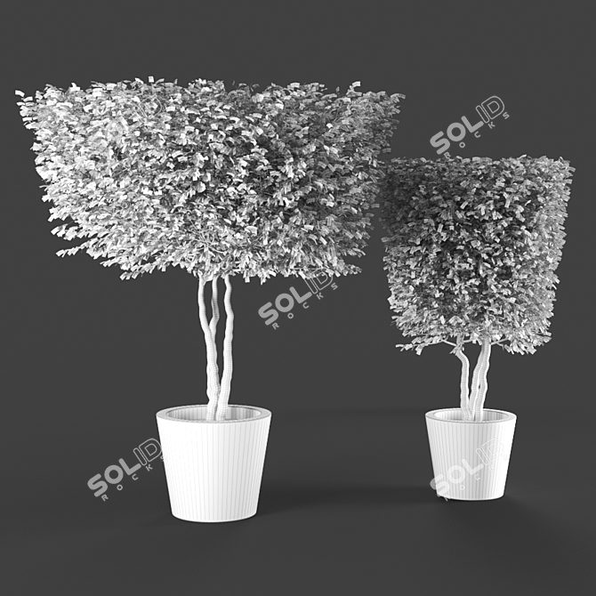  Tall and Elegant Plant Sculptures 3D model image 3